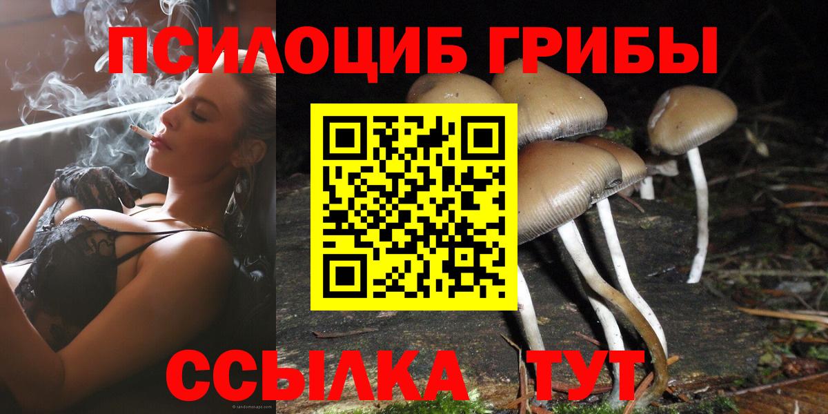 Псилоцибиновые грибы MAGIC MUSHROOMS  Галлюциногенные грибы GOLDEN TEACHER  Лабытнанги  Вход с VPN 